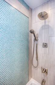 Walk In Shower Ideas