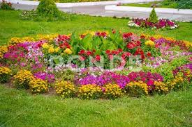 Flowerbed With Yellow And Red Flowers