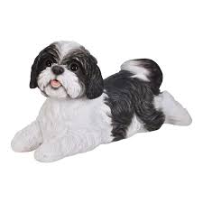 Hi Line Gift Ltd Black White Shih Tzu