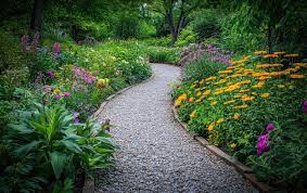 Whimsical Garden Path With Flowering