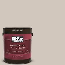 Cappuccino Froth Flat Exterior Paint