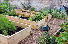 Raised Garden Bed With Treated Wood