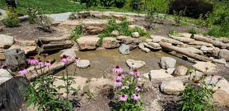 Nature Playscape Stream