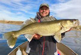 10 Oddball Walleye Baits You Should Try