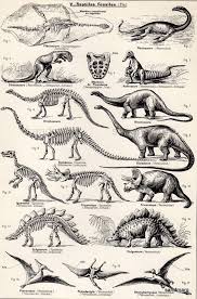 Vintage French Chart Dinosaurs Zoology