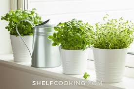 Countertop Herb Garden