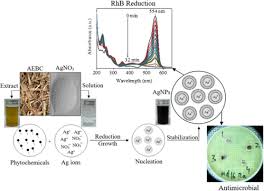 Green Synthesis Of Silver Nanoparticles