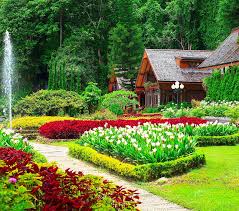 Gardens Green House Nature Peace