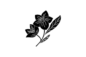 Winter Nature Flower Icon Black Graphic