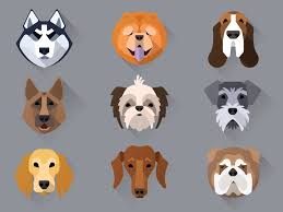 Dribbble Dog Icons By Polina Fearon