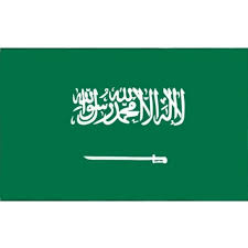 Saudi Arabian Flag World Flags 100