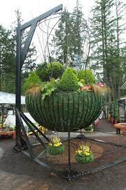 Conifers Featured In Hanging Baskets On
