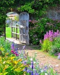 Yard Into An English Style Garden