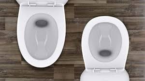 Elongated Vs Round Toilet Which One