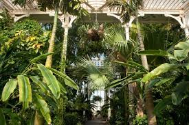 Kew Gardens Is An Iconic Greenhouse