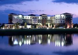 The 5 Best Port Saint Lucie Pet