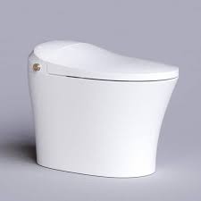 1 27 Gpf Elongated Smart Toilet Bidet