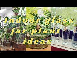 Indoor Glass Jar Plant Ideas Creative