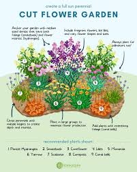 Creating A Cut Flower Garden
