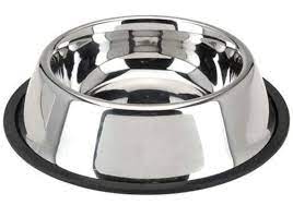 5 Best Stainless Steel Dog Bowls Over