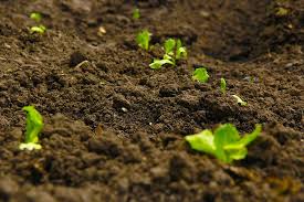 Topsoil Calculator How Much Soil Do I