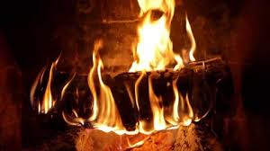 Log Fire Stock Footage Royalty Free