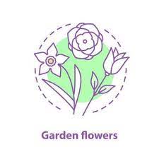 Garden Flowers Concept Icon Botany