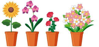 Flower Pot Vector Art Icons And
