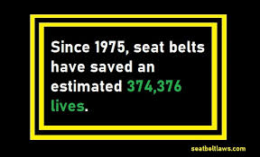 Illinois Seat Belt Laws Back Seat And