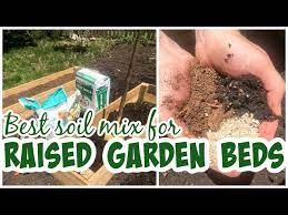 Best Soil For Raised Garden Beds Diy