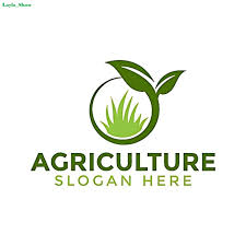 Make Modern Vegetable Garden Vegan Logo