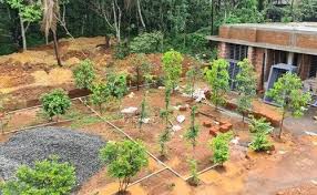 Fruit Garden Setting In Kerala India