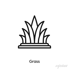 Grass Icon Vector Sign Symbol Wall