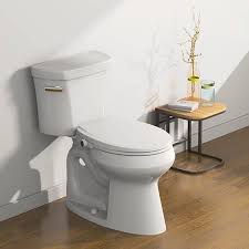 Glacier Bay Slim Non Electric Bidet