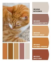 Sherwin Williams Paints Stains