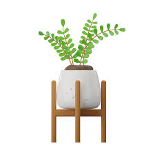 Plants Pot 3d Icon Free