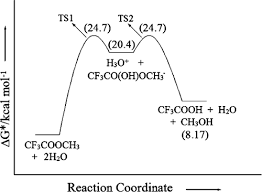 Neutral Hydrolysis Of Esters