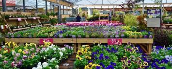Top Rated Independent Garden Centres Dwh