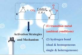 Hydrogen Bond Activation Strategy
