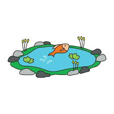 Fish Pond Vector Art Icons And