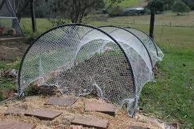 Bird Nets For Garden Beds Green