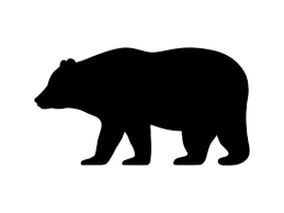 Bear Icon Images Browse 434 137 Stock