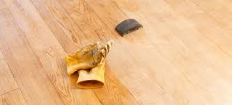 Floor Stripping In 8 Easy Steps