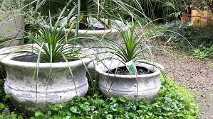 Earthenware Plant Pots Plants O