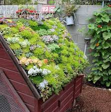 These Vertical Garden Ideas Are Perfect