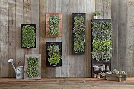 Vertical Garden Design