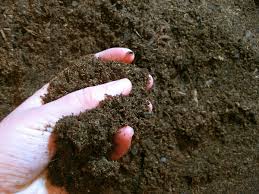 1 Soils Plant Nutrients Nc State