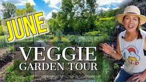 June Vegetable Garden Tour Zone 6