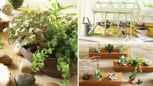 7 Easy Indoor Gardening Projects Lowe S