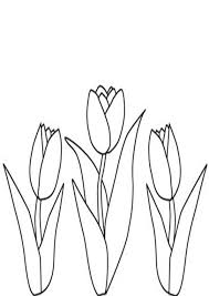 Tulip Flower Garden Coloring Pages